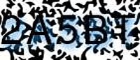 grafischer Sicherheitscode