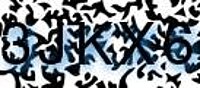 grafischer Sicherheitscode