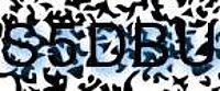 grafischer Sicherheitscode